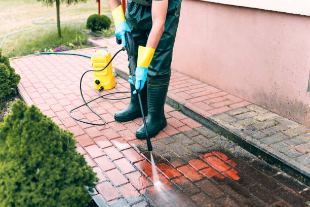 Best Animal Enclosure Cleaning  in Merrimac, VA